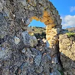 Seele Baumeln Lassen Im Olivenhain