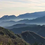 Seele Baumeln Lassen Im Olivenhain *