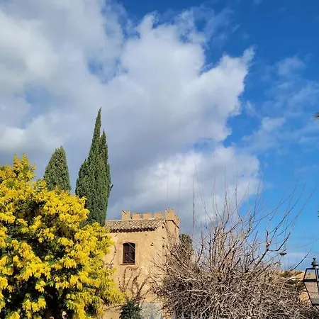 Seele Baumeln Lassen Im Olivenhain