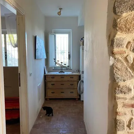 Seele Baumeln Lassen Im Olivenhain سانتا كاترينا ديلو يونو