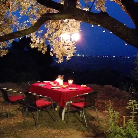Seele Baumeln Lassen Im Olivenhain Apartamento