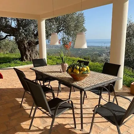 Seele Baumeln Lassen Im Olivenhain