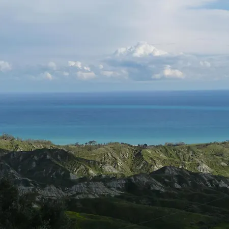 Seele Baumeln Lassen Im Olivenhain