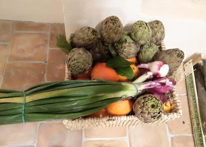 Apartamento Seele Baumeln Lassen Im Olivenhain *