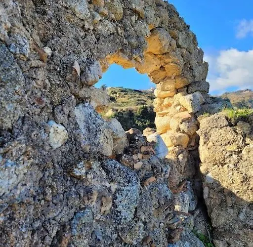 Seele Baumeln Lassen Im Olivenhain