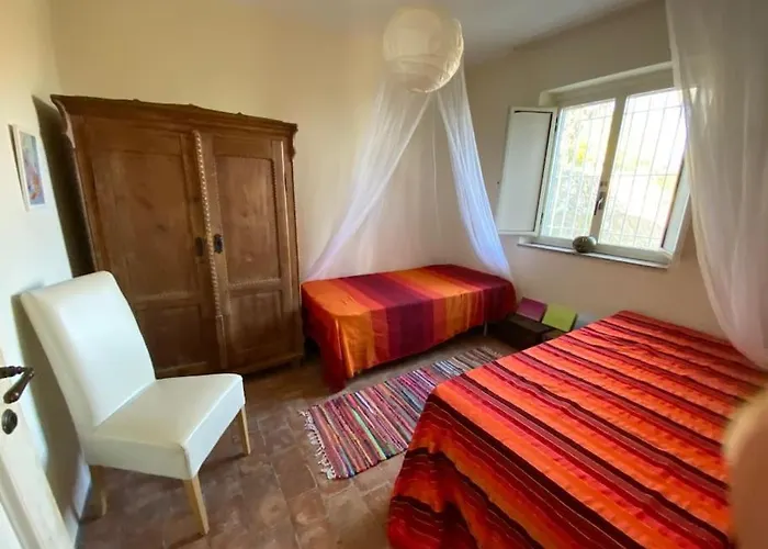 Seele Baumeln Lassen Im Olivenhain *