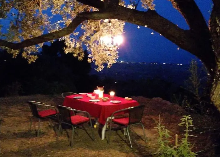 Seele Baumeln Lassen Im Olivenhain Apartamento