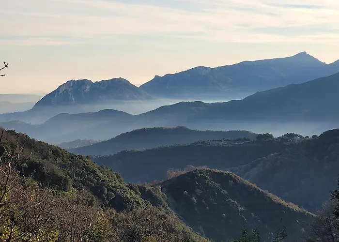 Seele Baumeln Lassen Im Olivenhain *