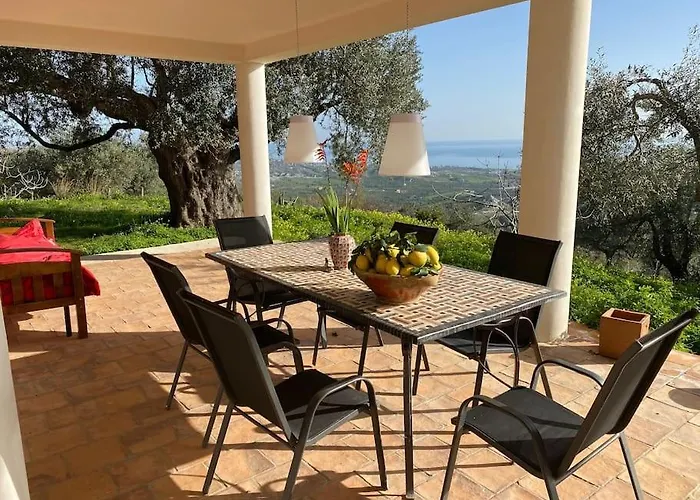 Seele Baumeln Lassen Im Olivenhain