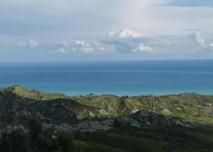 Seele Baumeln Lassen Im Olivenhain