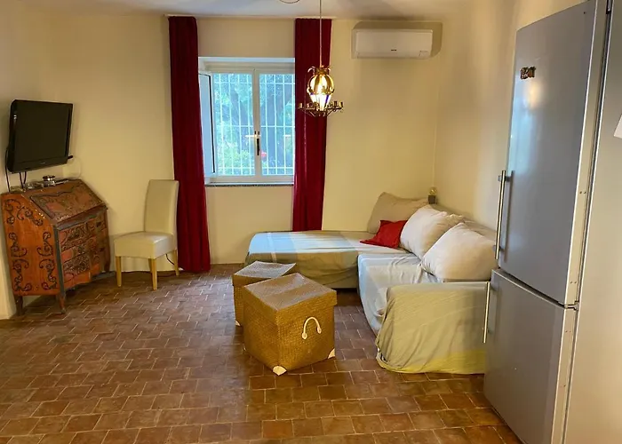 Seele Baumeln Lassen Im Olivenhain