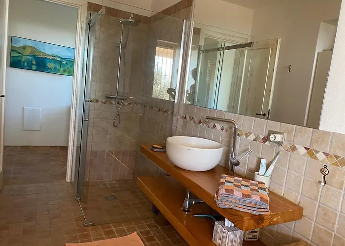 Seele Baumeln Lassen Im Olivenhain